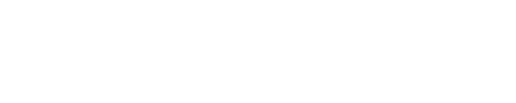 Etheria Digital Solutions